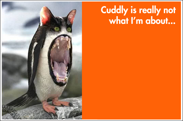 Google's Penguin Update Google's Penguin Update
