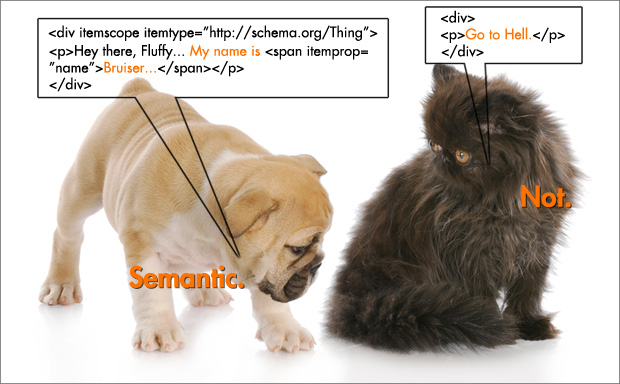 Puppy & Kitten Argue About Benefits of Microdata Puppy and Kitten and Microdata