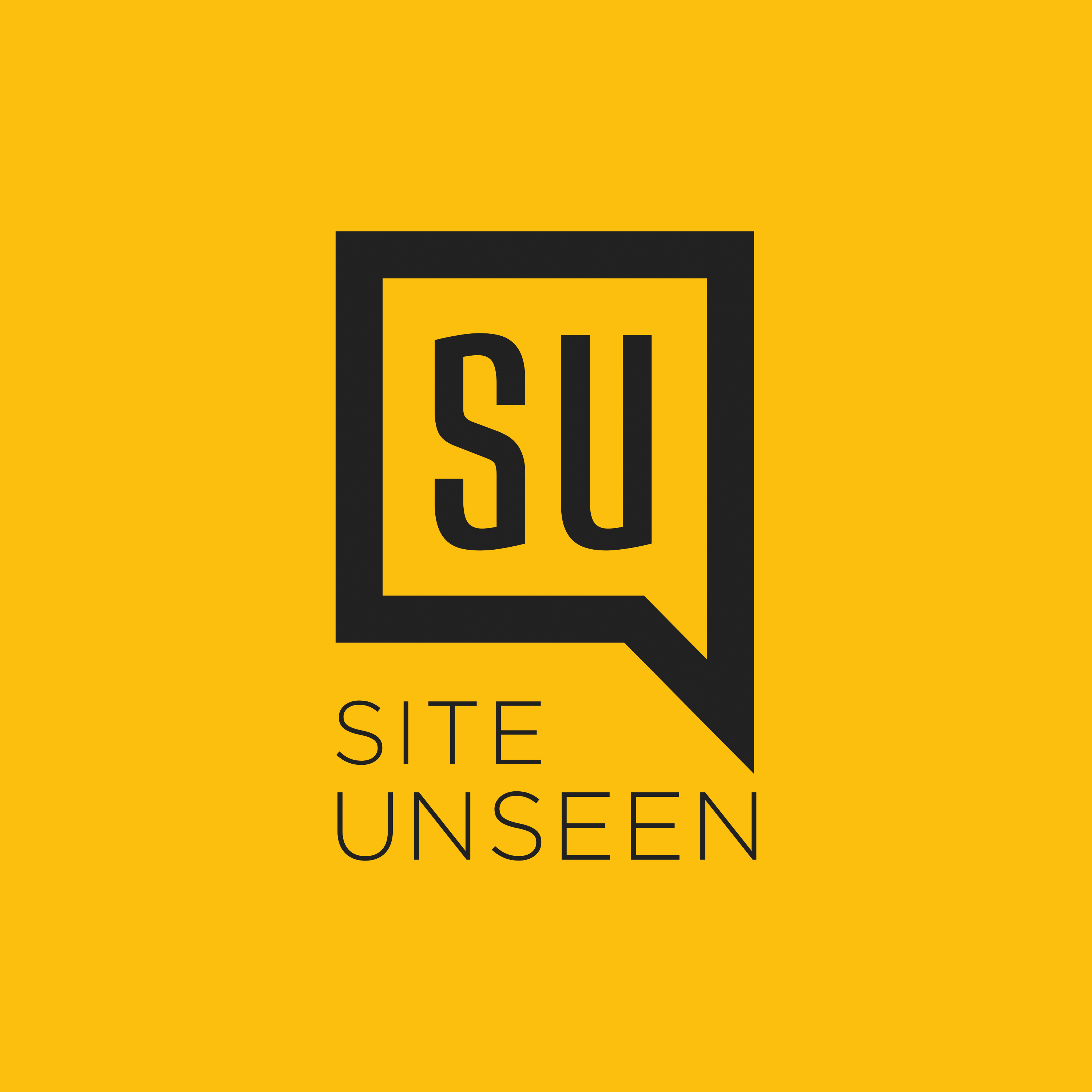 Site Unseen: Intersectional Digital Marketing Chats